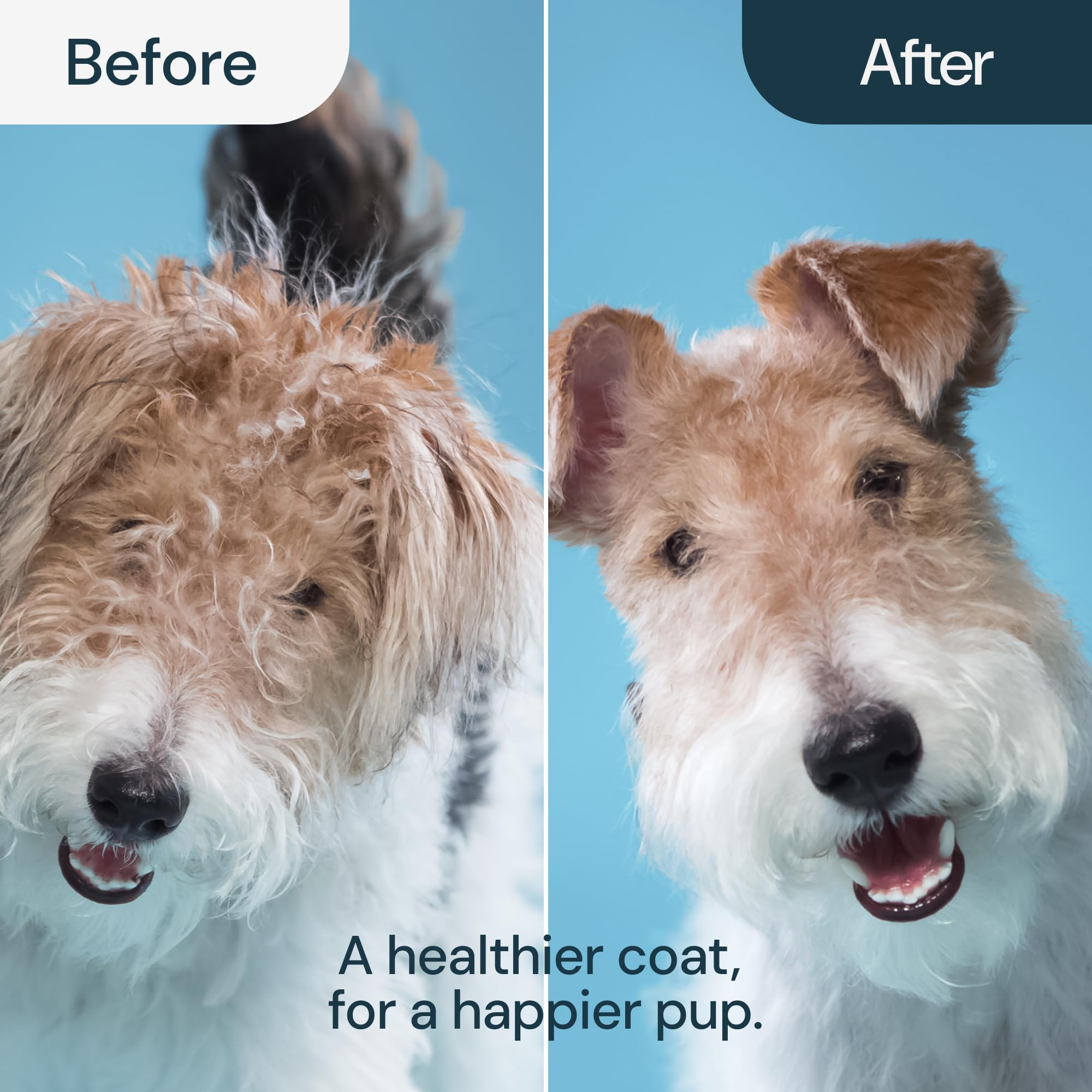 Knotkicker -  Dog Hair Remover Brush